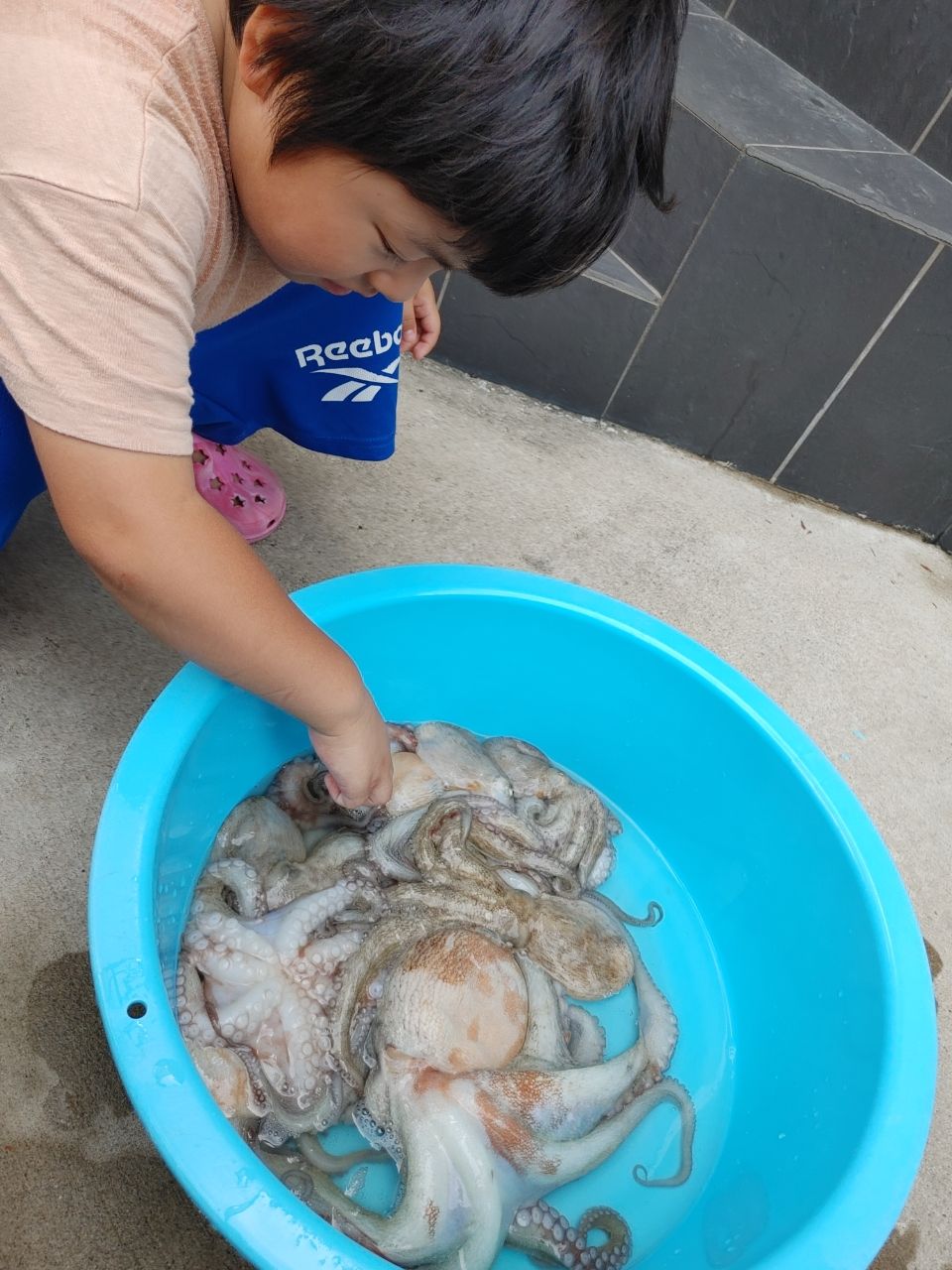 かずまっささんの釣果 2枚目の画像