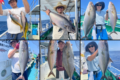 カンパチの釣果