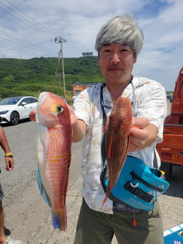 アカアマダイの釣果