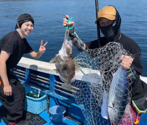 メジロの釣果