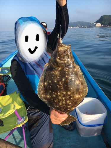 ヒラメの釣果