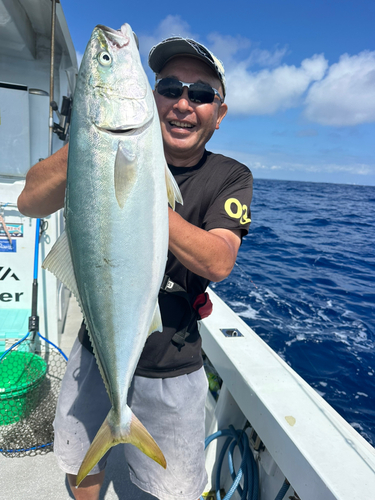 ワラサの釣果