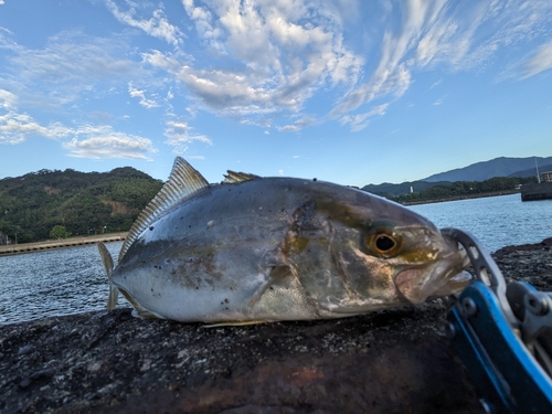 ネイリの釣果