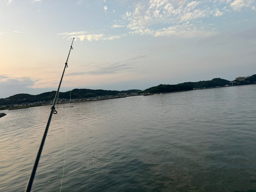 ハゼの釣果