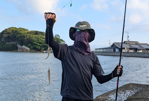 キスの釣果