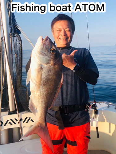 マダイの釣果