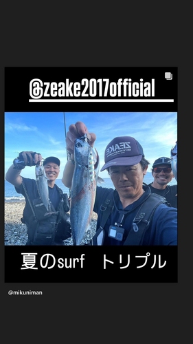 マルソウダの釣果