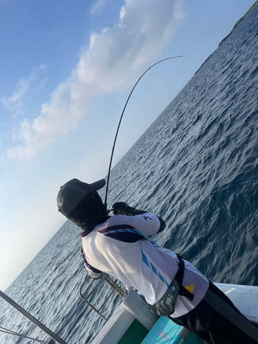 アカハタの釣果