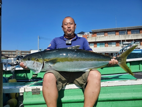 ヒラマサの釣果