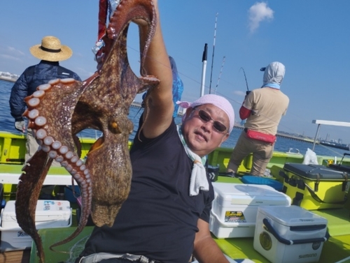 マダコの釣果