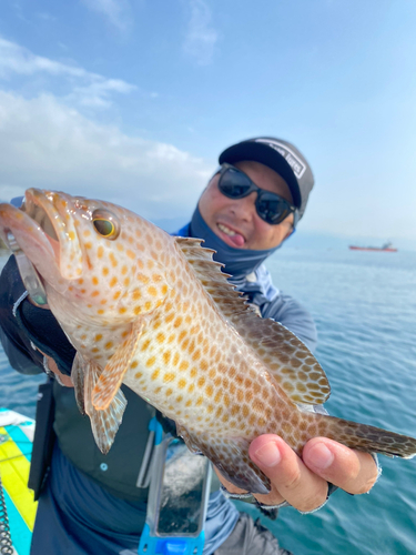 オオモンハタの釣果