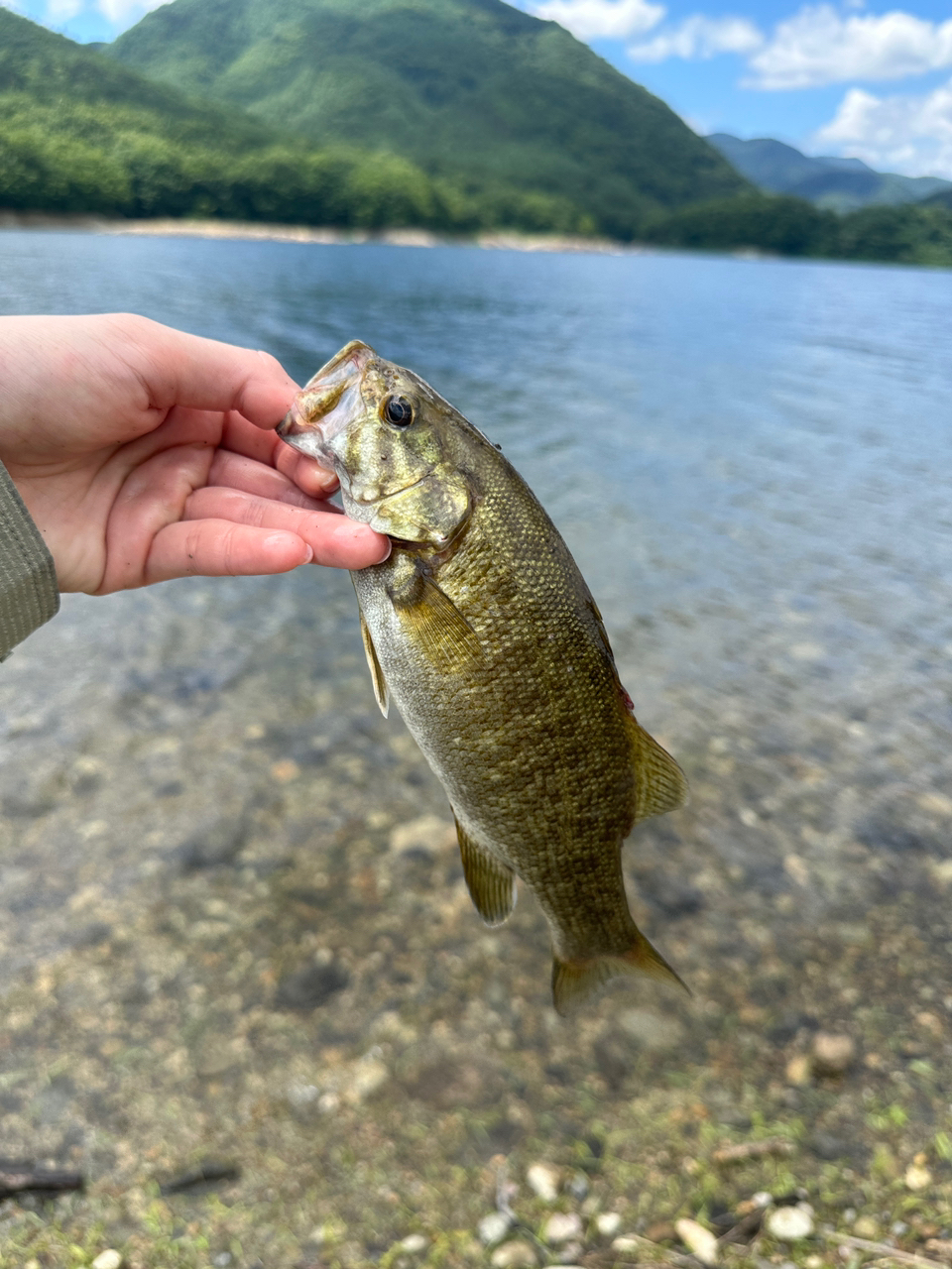 スモールマウスバス