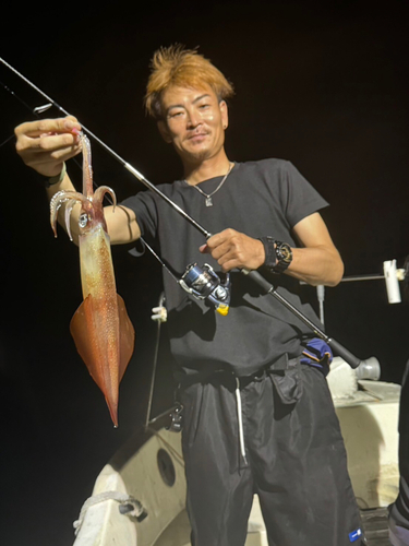 シロイカの釣果