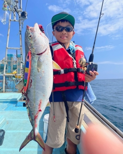 イナダの釣果