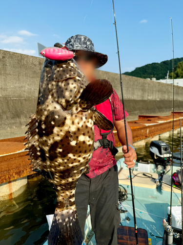 ハタの釣果