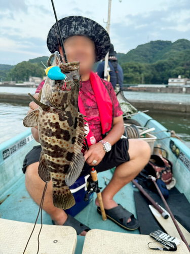 ハタの釣果