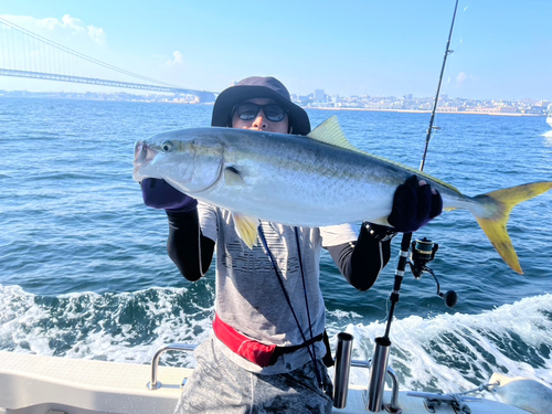 ブリの釣果