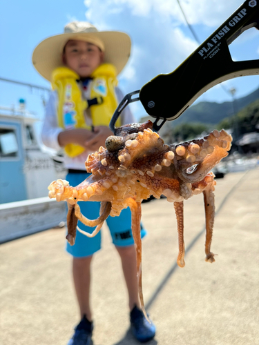 タコの釣果