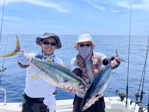 キハダマグロの釣果