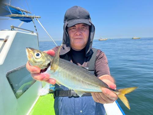 マアジの釣果