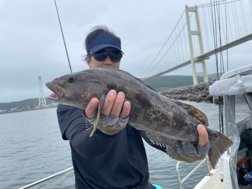 アイナメの釣果