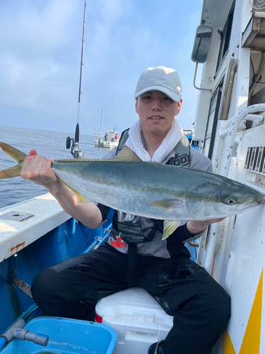 メジロの釣果