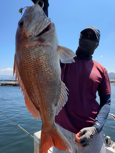 タイの釣果