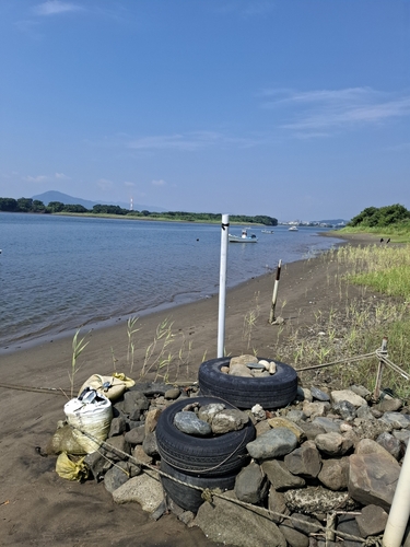 キチヌの釣果