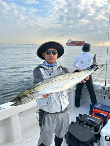 サワラの釣果