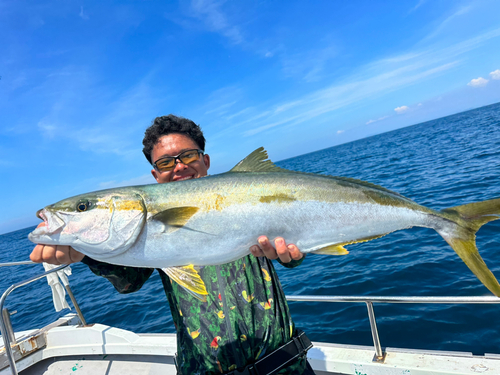 ヒラマサの釣果