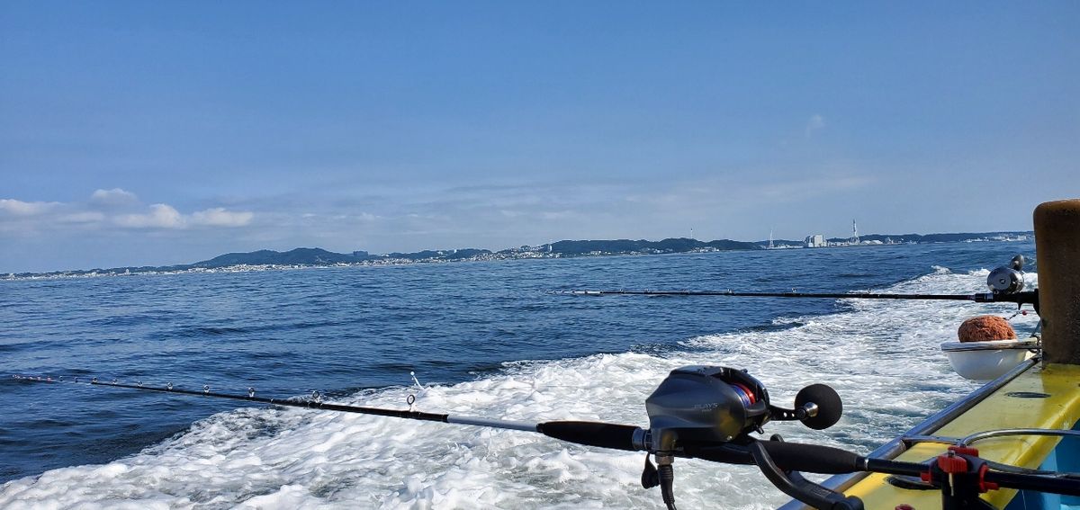 こみこみ🐟さんの釣果 3枚目の画像