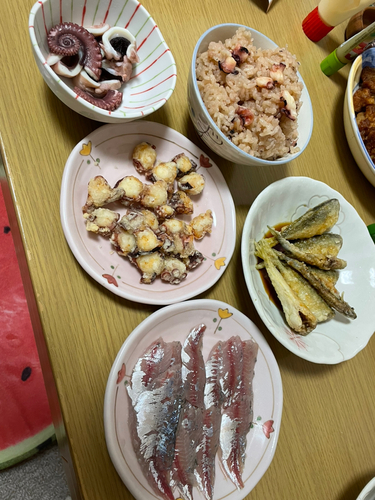 釣果