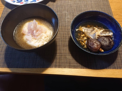 キビレの釣果