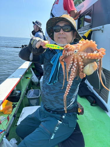 マダコの釣果