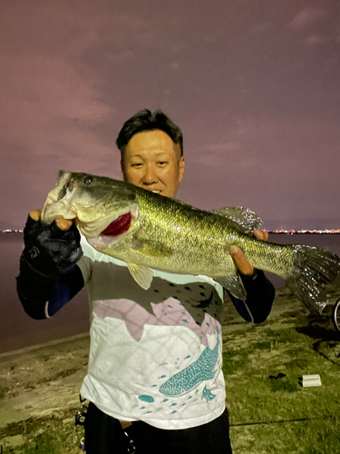 ラージマウスバスの釣果