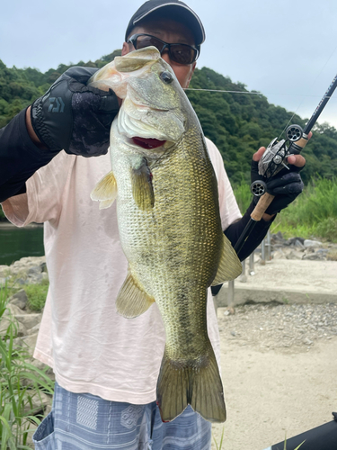 ラージマウスバスの釣果