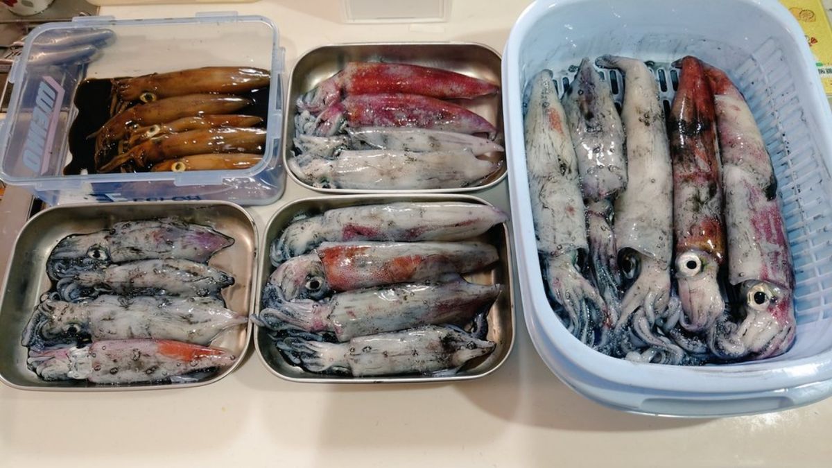 アキラメタルさんの釣果 1枚目の画像