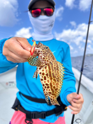 イシミーバイの釣果