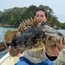 タケノコメバル