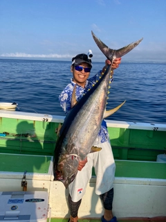 キハダマグロの釣果