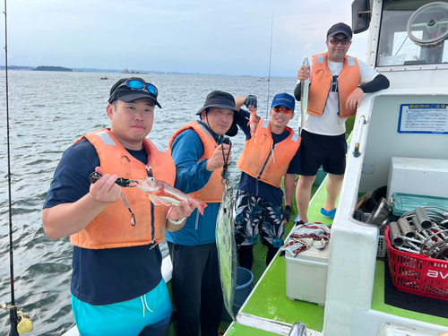 マダイの釣果