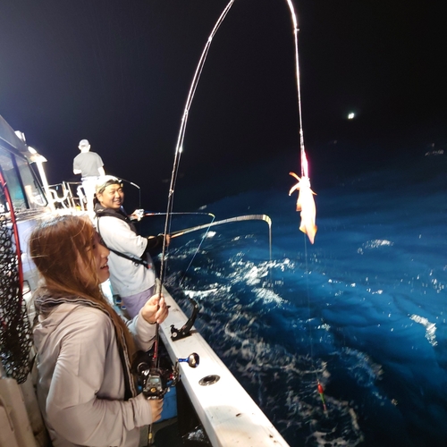 ヤリイカの釣果