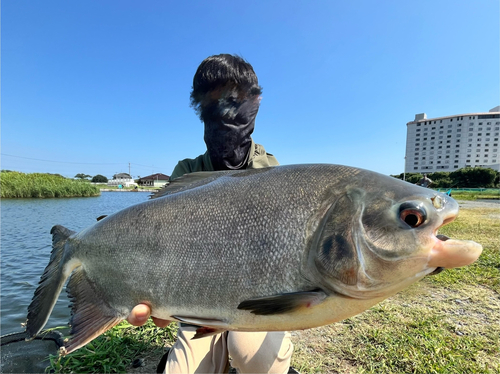 コロソマの釣果