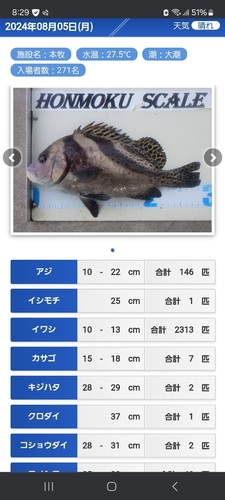 コショウダイの釣果