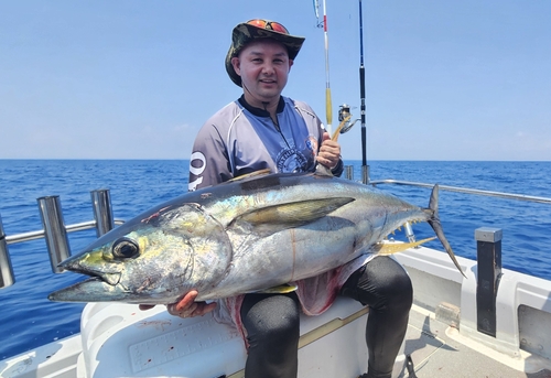 キハダマグロの釣果