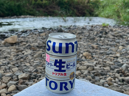 コアユの釣果