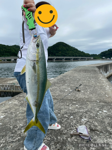 イナダの釣果