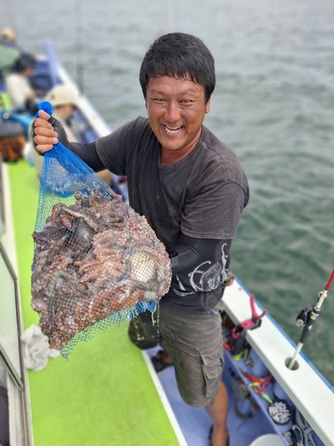 マダコの釣果