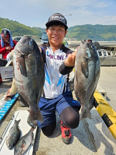 クチブトグレの釣果