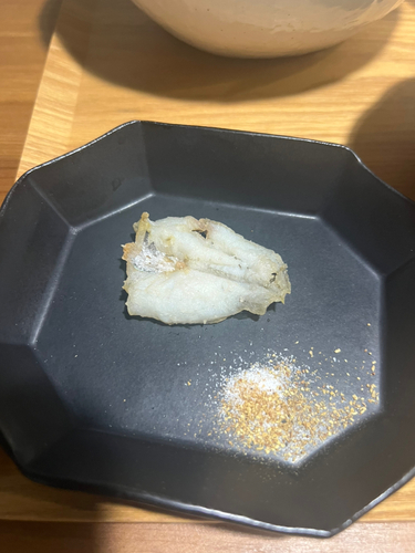 ハゼの釣果